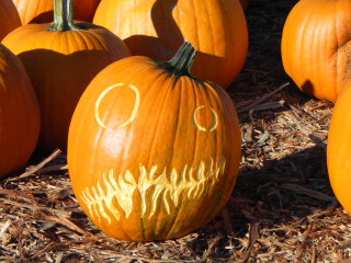 Slanty, Nipomo Pumpkin Patch best carving idea